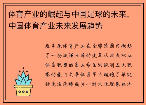 体育产业的崛起与中国足球的未来，中国体育产业未来发展趋势