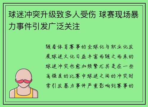 球迷冲突升级致多人受伤 球赛现场暴力事件引发广泛关注